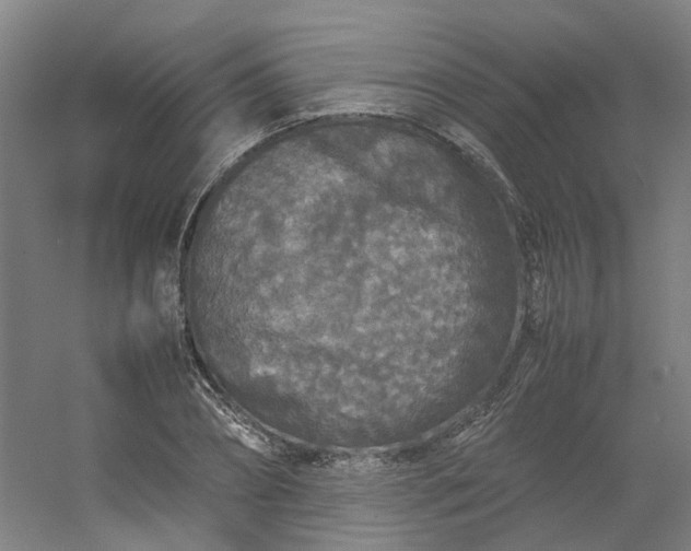 X0000054370882200508121537