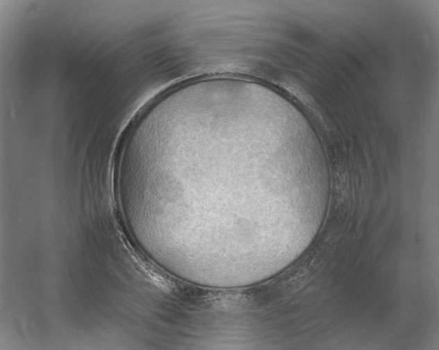 X0000054370886200508121537