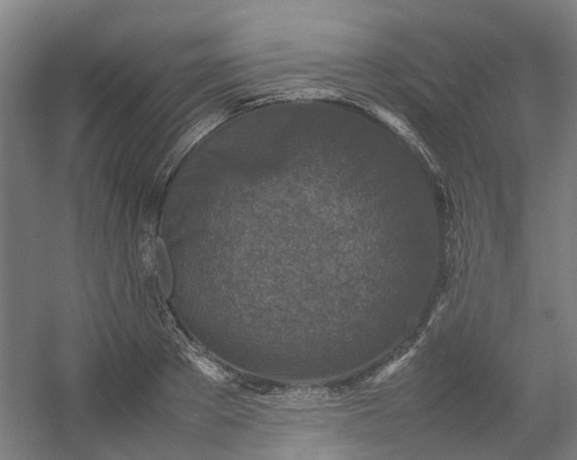 X0000054370889200508121537