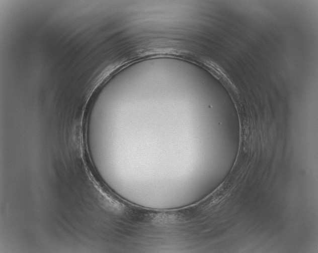 X0000054370890200508121537