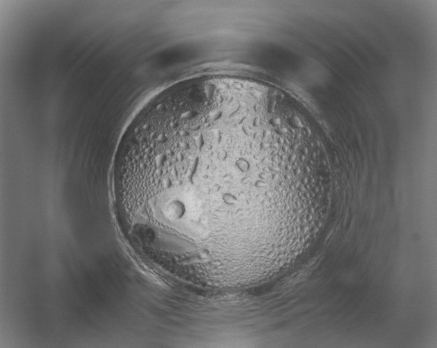 X0000054370891200508121537