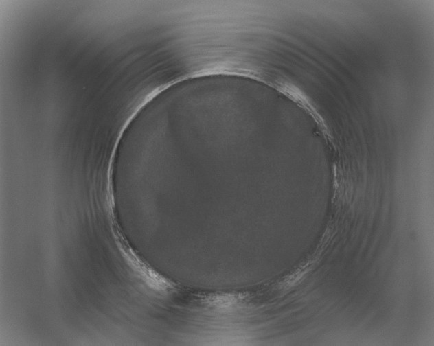 X0000054370892200508121537