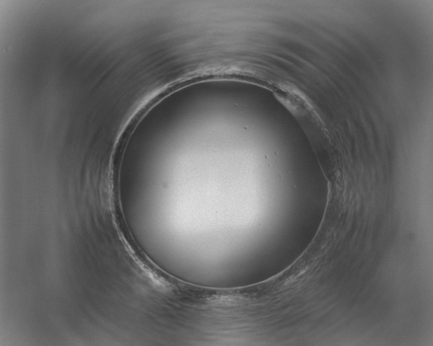 X0000054370894200508121537