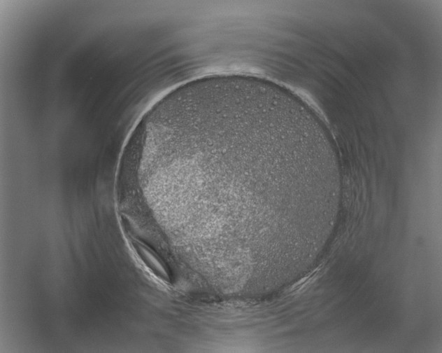 X0000054370895200508121537