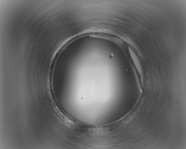 X0000054370896200508121537