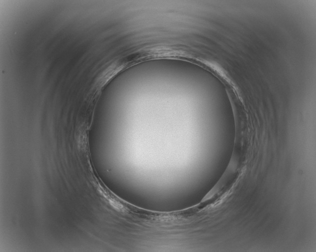 X0000054370897200508121537