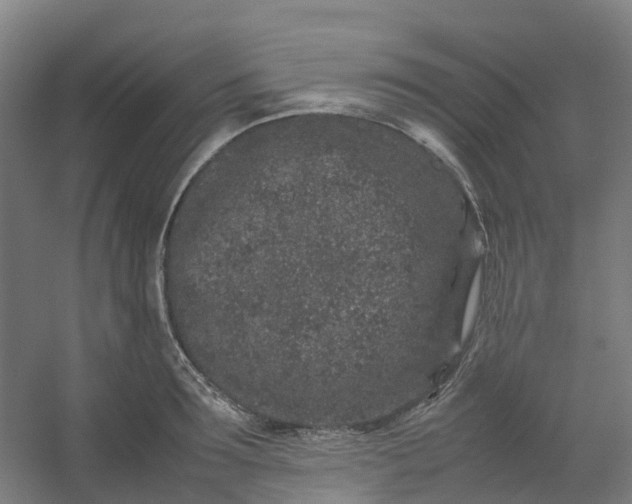 X0000054370899200508121537