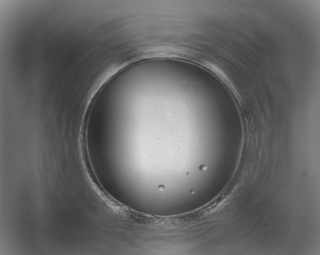 X0000054370901200508121537