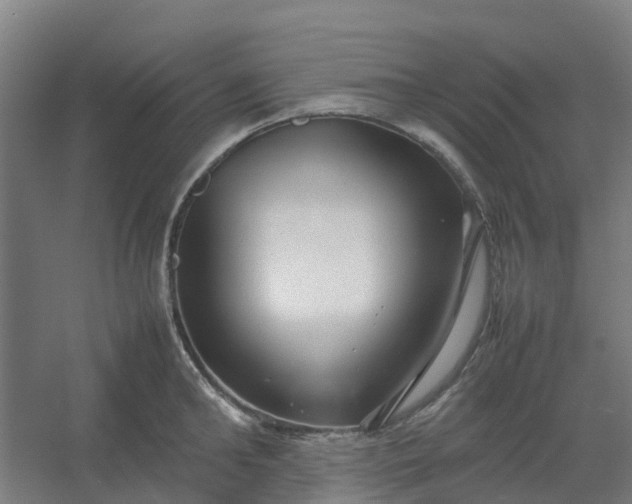 X0000054370902200508121537