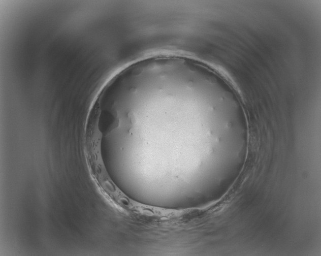 X0000054370903200508121537