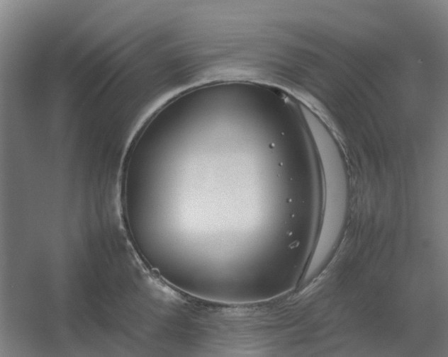 X0000054370904200508121537