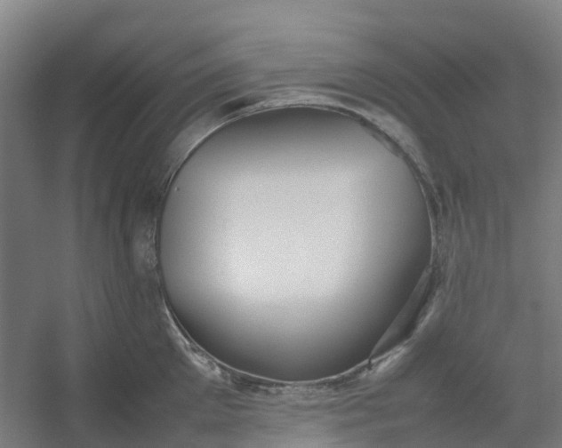 X0000054370905200508121537