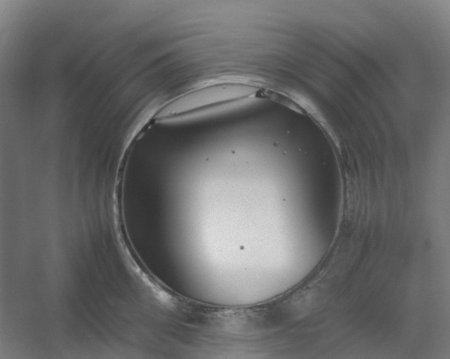 X0000054370906200508121537