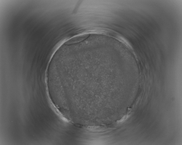 X0000054370907200508121537