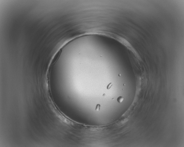 X0000054370908200508121537