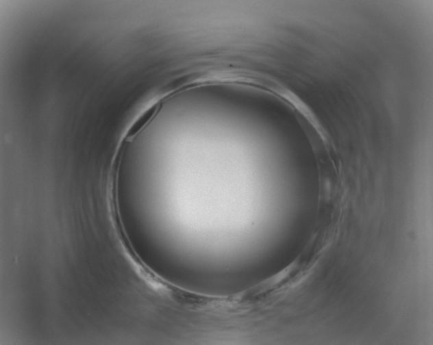 X0000054370909200508121537