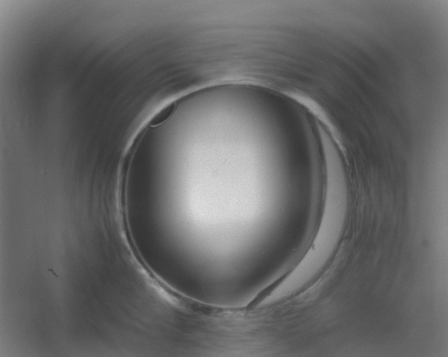 X0000054370910200508121537