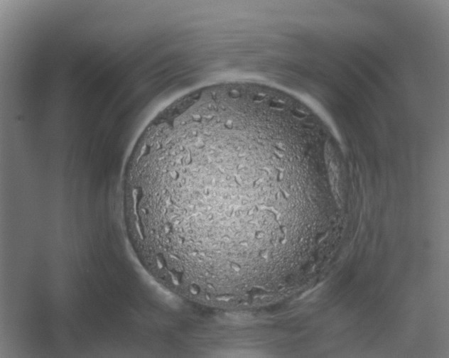 X0000054370911200508121537