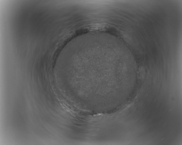 X0000054370913200508121536