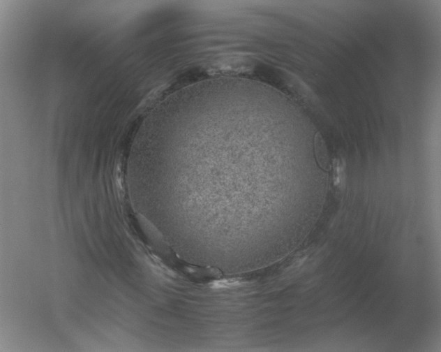 X0000054370915200508121536