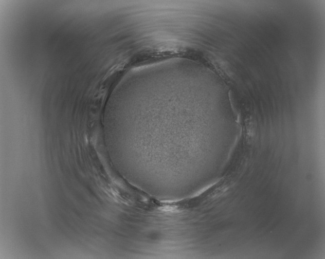 X0000054370916200508121536