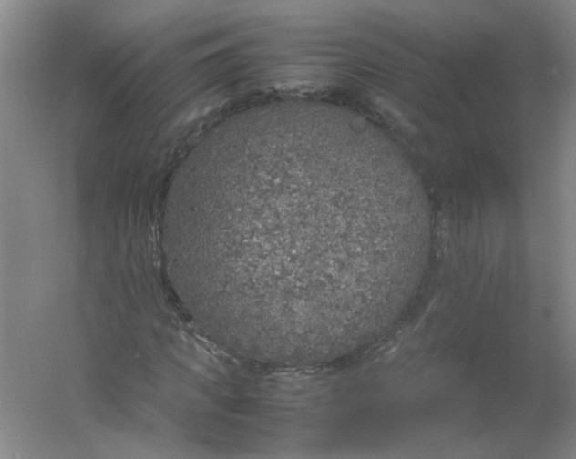 X0000054370917200508121536