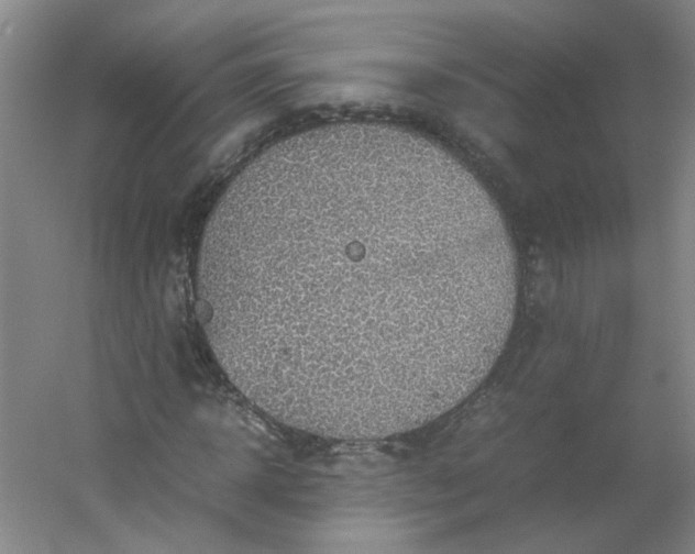 X0000054370918200508121536