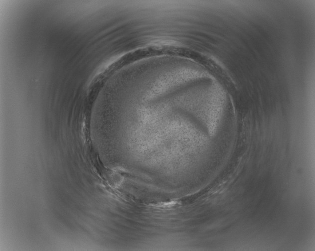 X0000054370919200508121536