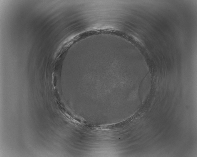 X0000054370920200508121536