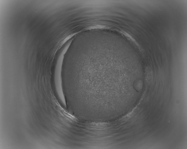 X0000054370921200508121536