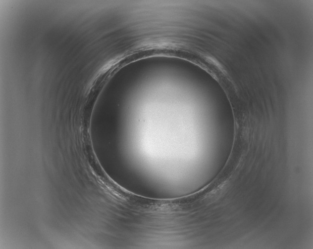 X0000054370922200508121536