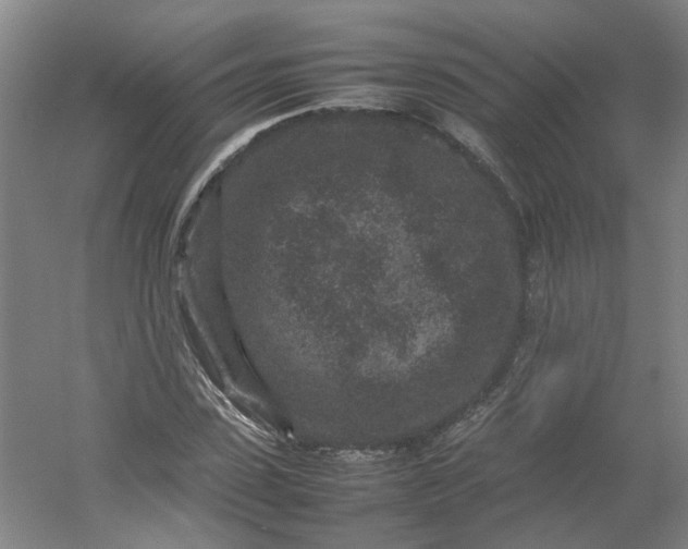 X0000054370923200508121536