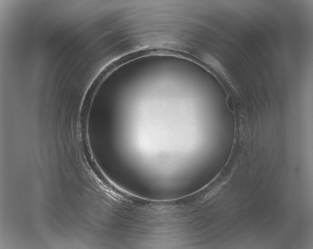 X0000054370924200508121536