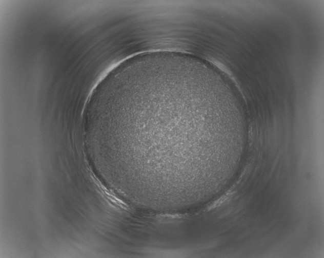 X0000054370925200508121536