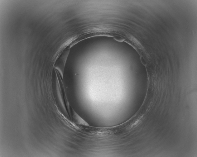 X0000054370930200508121536