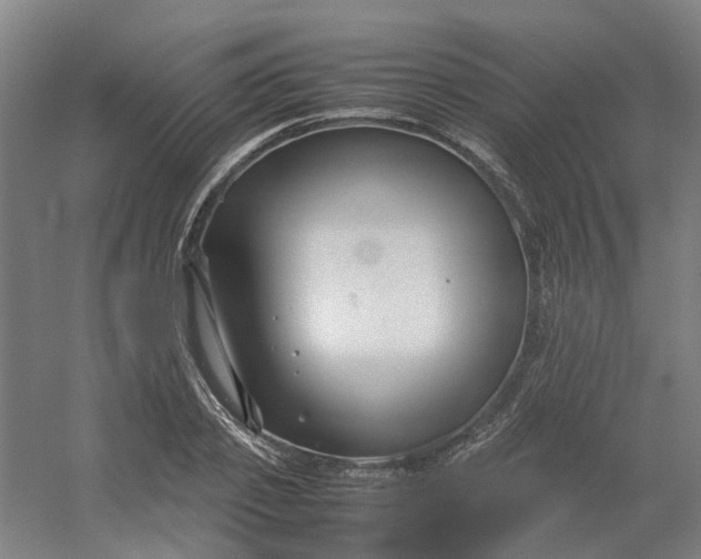 X0000054370933200508121536