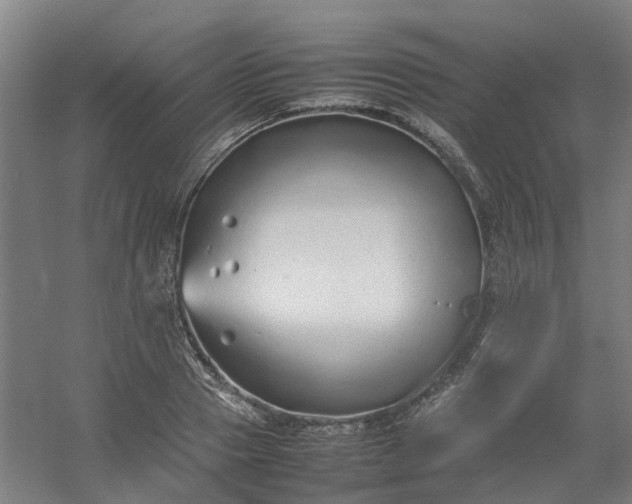 X0000054370937200508121536