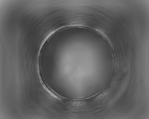 X0000054370941200508121536