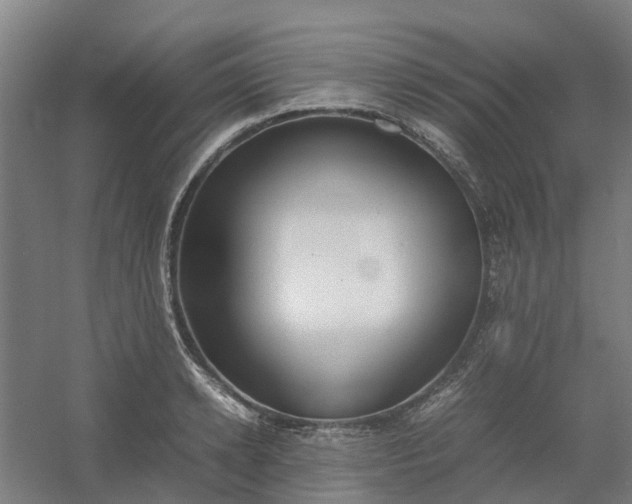 X0000054370942200508121536