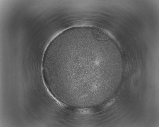 X0000054370943200508121536