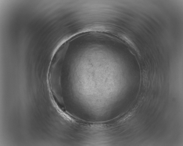 X0000054370944200508121536