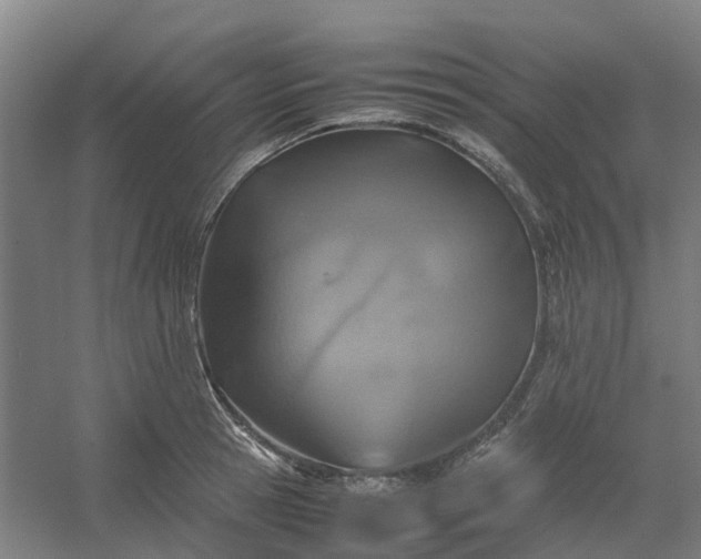 X0000054370945200508121536