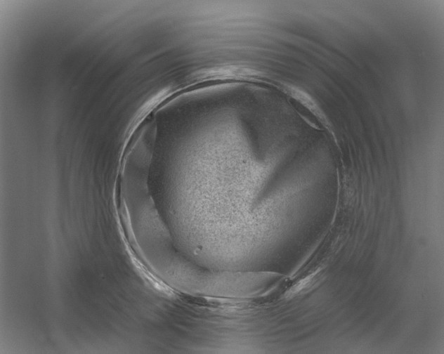 X0000054370946200508121536