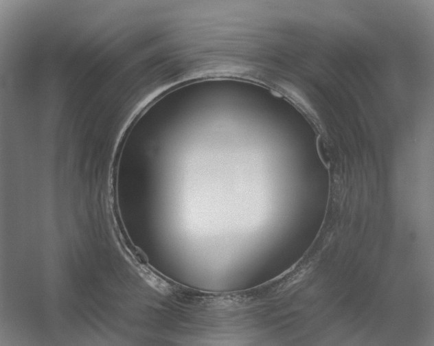 X0000054370948200508121537