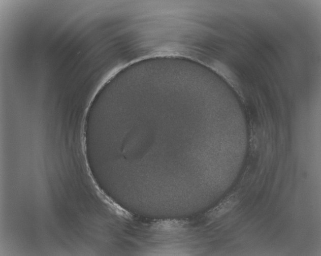 X0000054370950200508121537