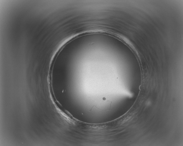 X0000054370951200508121537