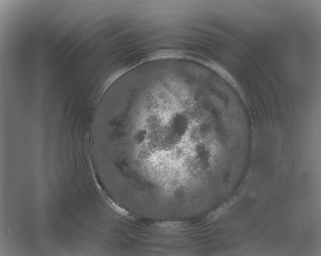 X0000054370953200508121537