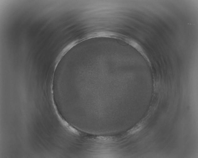 X0000054370954200508121537