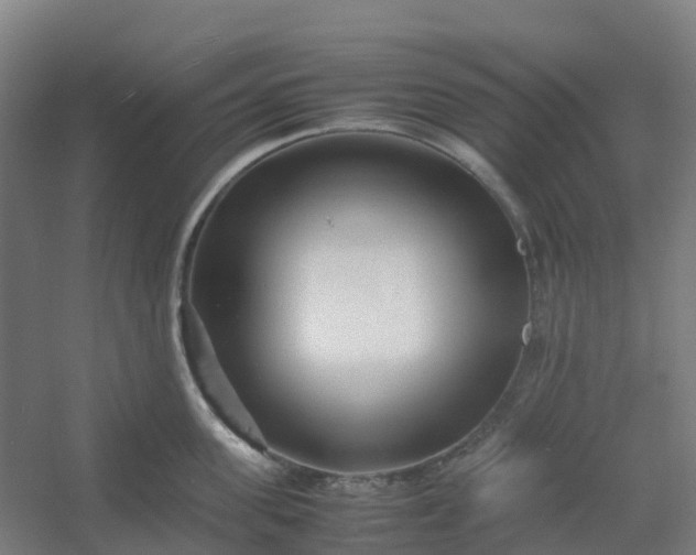 X0000054370955200508121537