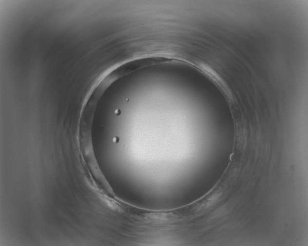 X0000054370956200508121537